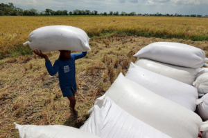 PHL unit of HK’s SSG opens Cavite plant – BusinessWorld – BusinessWorld Online