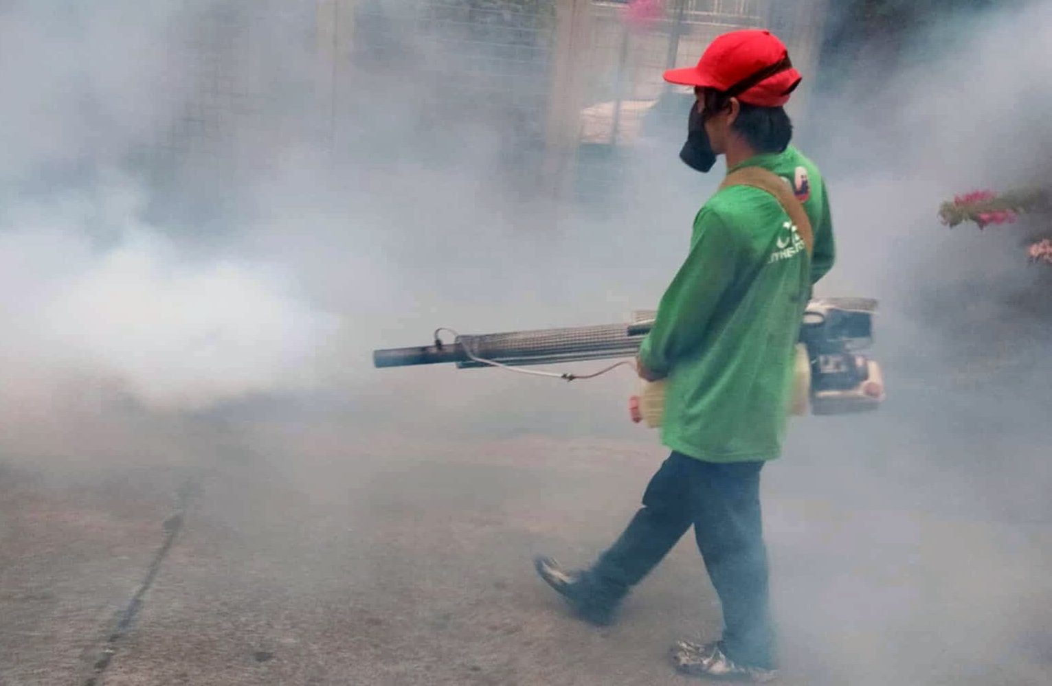 Dengue cases in Cavite rise at alarming rate – Rappler