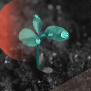 From Space to Defense, Small Business Ideas Power Government Breakthroughs – Harvard Business School