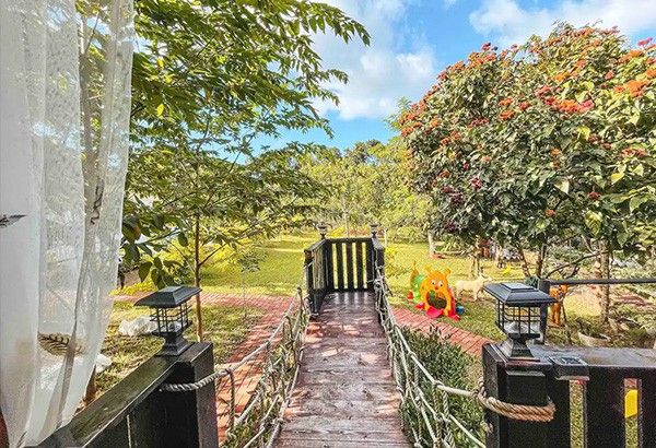 Pet-friendly Airbnbs – Philstar.com