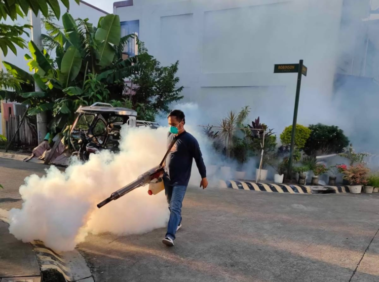 Dengue cases in Cavite reach more than 10K – The Manila Times