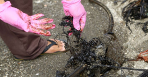 21 areas in Bataan, Cavite under state of calamity due to oil spill – Philippine News Agency