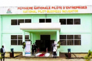 Cameroon Allocates CFA200 Million in Grants to Edéa Business Incubator Projects – Business in Cameroon