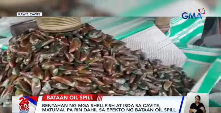 Cavite damage from oil spill hits P1B – GMA Network