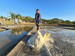 Noveleta revives salt making industry – The Manila Times