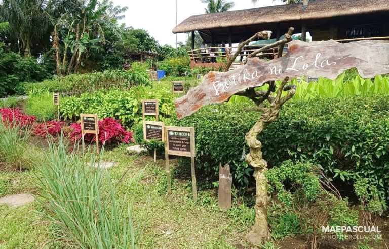 Nurture Farmacy: A New Eco-Tourism Wellness Camp Site in Amadeo – When In Manila
