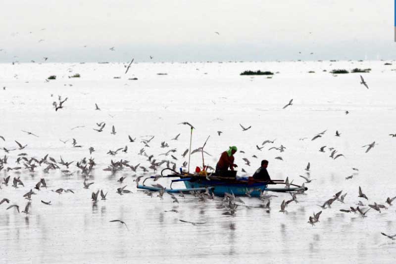 Fisherfolk seek cancellation of Cavite dredging environmental clearance – BusinessWorld – BusinessWorld Online