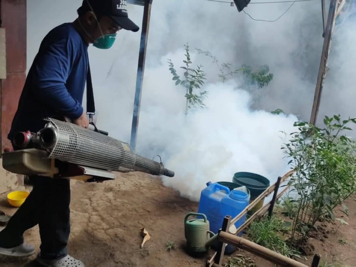 Cavite reports 376% rise in dengue cases – The Manila Times
