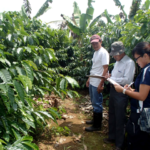 Outstanding coffee farmers in Cavite recognized during 12th Pahimis Festival – GMA Network