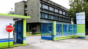 Eneo’s debt reaches CFA800bn as Cameroon prepares rescue plan – Business in Cameroon