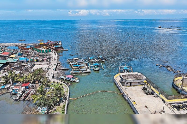 Oil spill: 8 Cavite towns declare calamity – Philstar.com