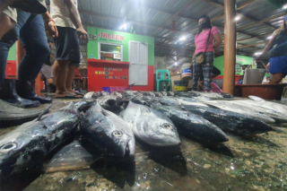 Rosario fish port thrives in ‘bulungan’ – Journal News Online