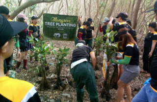 600 seedlings planted in Noveleta's mangrove – The Manila Times