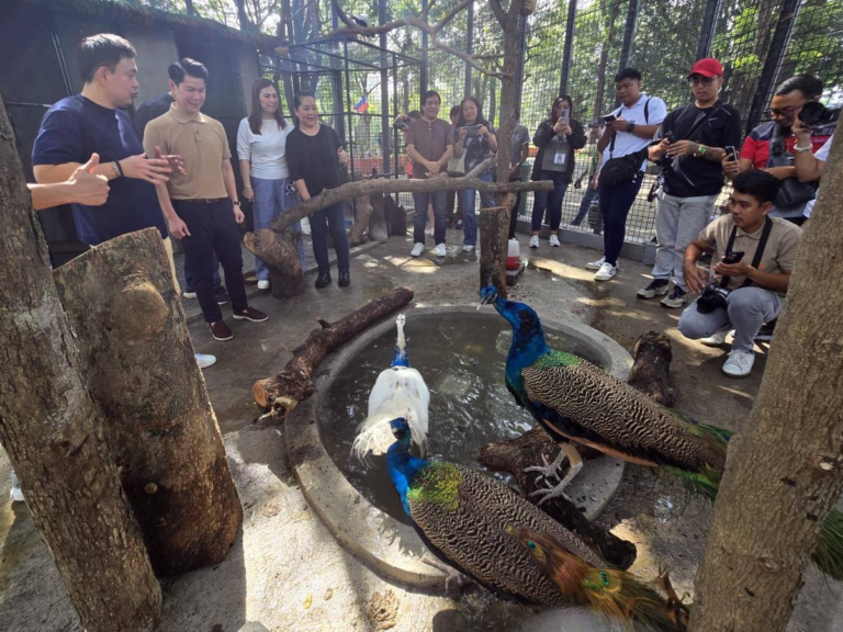 Cavite City opens Aviary in Samonte Park – The Manila Times