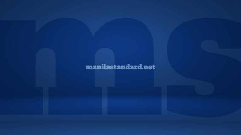 Chinese firm submits lowest bid for land segment of Bataan-Cavite bridge – Manila Standard