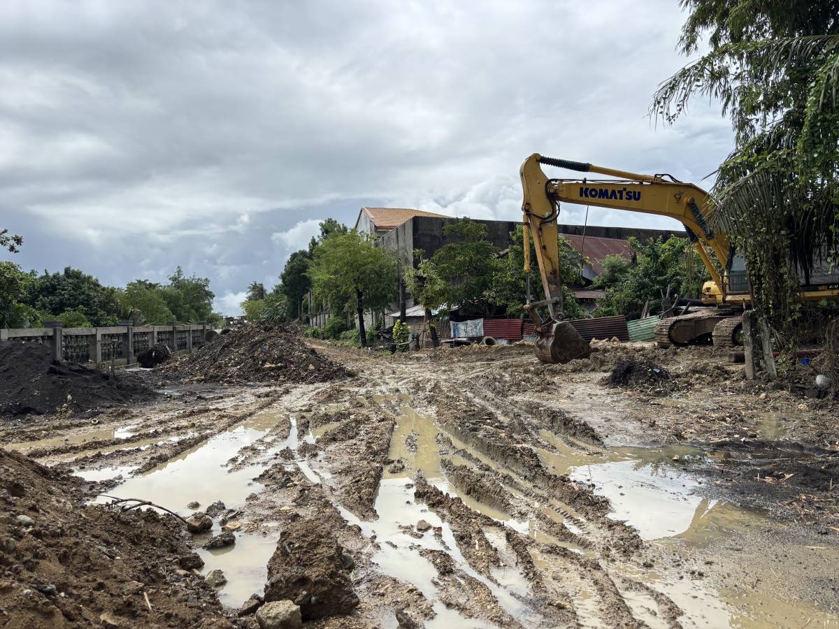 Discaya projects in Iloilo City lack permit – The Manila Times