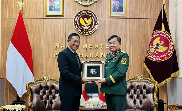 Vietnam, Indonesia forge defence cooperation – Asia News Network